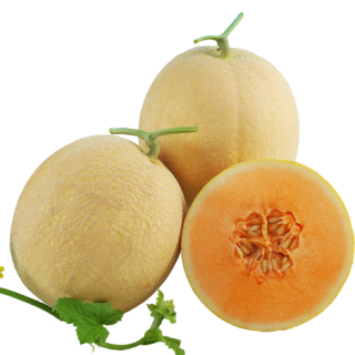 ALL_catalog_24F13_ChM4KFZV0S