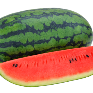 ALL_catalog_24F13_CpBmUksfZP