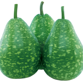 ALL_catalog_24F13_D4jSbCZddN