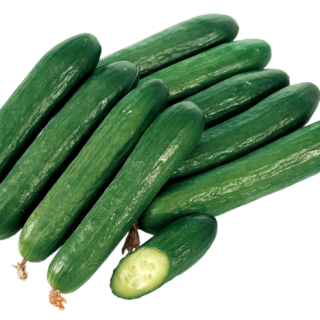 ALL_catalog_24F13_DUWHVPkgJj