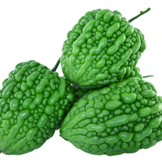 ALL_catalog_24F13_DgM5TmDGRf