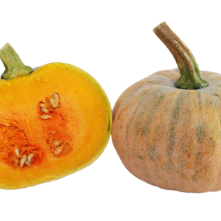 ALL_catalog_24F13_FYUr3Ez4uk