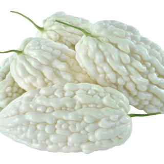 ALL_catalog_24F13_FcEKMITnrq