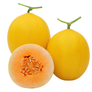 ALL_catalog_24F13_G8TYFfii1B