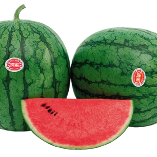 ALL_catalog_24F13_GS6eUTfs7P