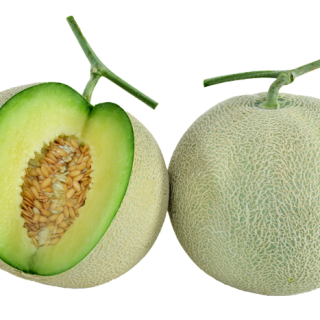 ALL_catalog_24F13_HAyCkcRklM