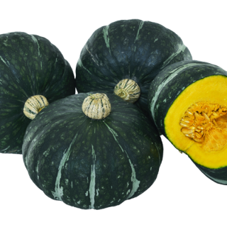 ALL_catalog_24F13_HypycGBy0O