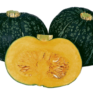 ALL_catalog_24F13_IIr8UMWmzF