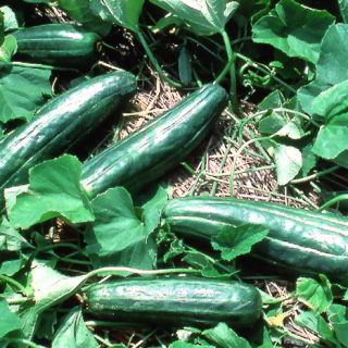 ALL_catalog_24F13_Ih9y2JWGxv