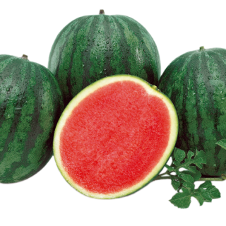 ALL_catalog_24F13_J7vbkmzprk