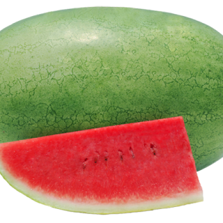 ALL_catalog_24F13_JQQxdzWCe9