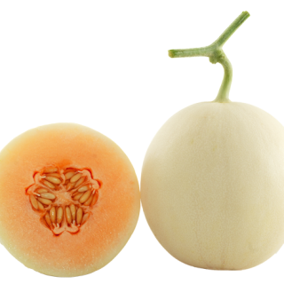 ALL_catalog_24F13_Nv0K7OTDiH