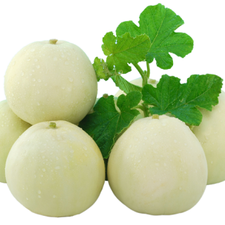 ALL_catalog_24F13_OSEyh8AvU0