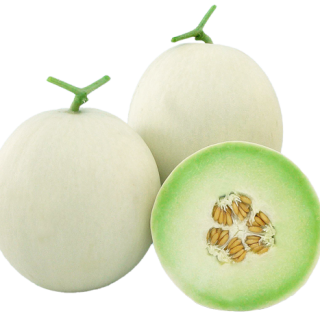 ALL_catalog_24F13_Po8ois3HLR