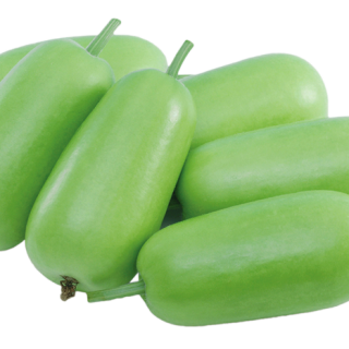 ALL_catalog_24F13_PxndRMgLy9