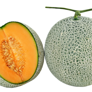 ALL_catalog_24F13_ROY6iJhOw4