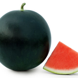 ALL_catalog_24F13_STwuUh7PZC