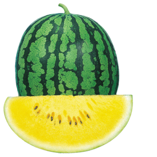 ALL_catalog_24F13_Sb4mYoUgk4