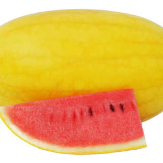 ALL_catalog_24F13_SuIOHE0Cps