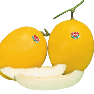 ALL_catalog_24F13_TbGefP2Gbh