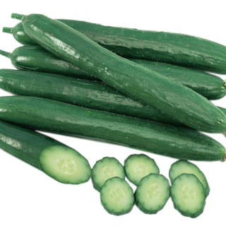 ALL_catalog_24F13_TrusFNHprN