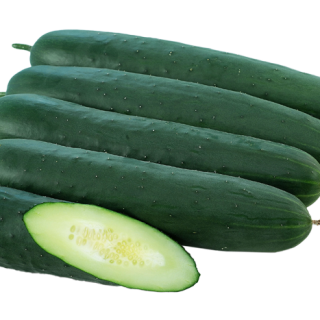 ALL_catalog_24F13_UoilUUREX4