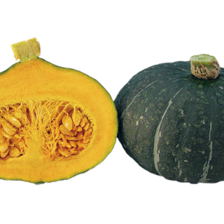 ALL_catalog_24F13_VifnsLVTRH