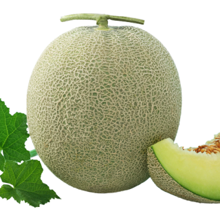 ALL_catalog_24F13_Vv8UfMjE2m