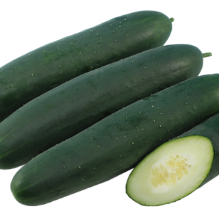 ALL_catalog_24F13_XD4oEyS9mY