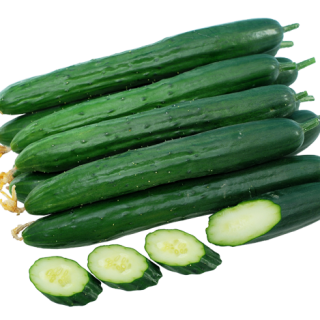 ALL_catalog_24F13_YooNc8jO84