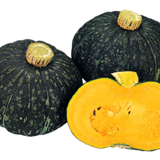 ALL_catalog_24F13_YxfPfQBzlj