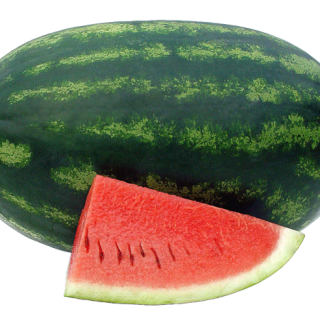 ALL_catalog_24F13_b47OF9KUD4