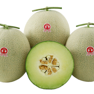 ALL_catalog_24F13_b8sP9BTuOE