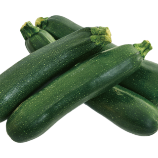 ALL_catalog_24F13_b9Yr4OS3Uh