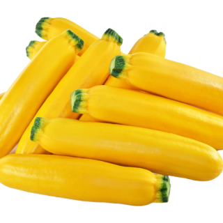 ALL_catalog_24F13_bt3gFls0hG