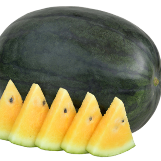 ALL_catalog_24F13_cKdmOpwT0u