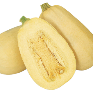 ALL_catalog_24F13_czKljWTXVw