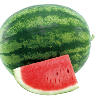 ALL_catalog_24F13_d6PRw2YeD1