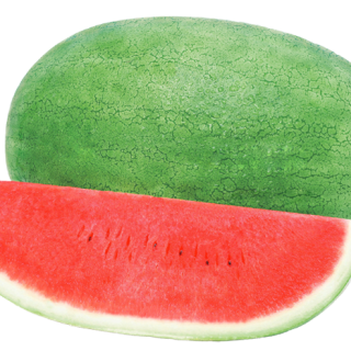 ALL_catalog_24F13_eexpQFElzH