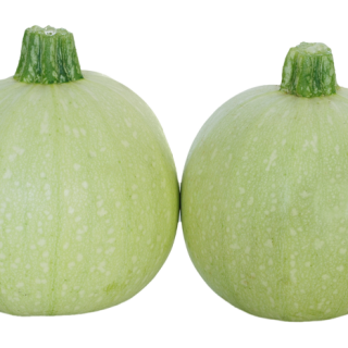 ALL_catalog_24F13_fiaDaRzm1c