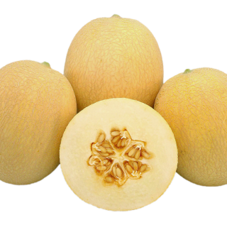 ALL_catalog_24F13_gGxBRHPqAY