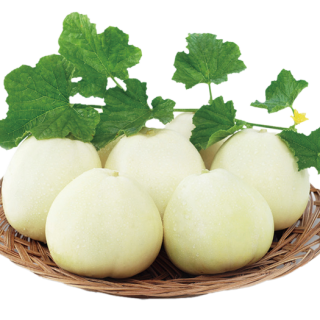 ALL_catalog_24F13_gho07ecv47