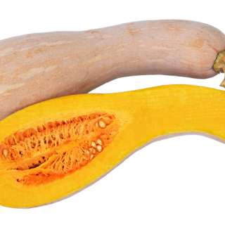 ALL_catalog_24F13_hr2RkBpGXL