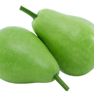 ALL_catalog_24F13_iBLD0fWOmI