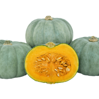 ALL_catalog_24F13_jFOgarChED