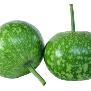 ALL_catalog_24F13_jKX0J6S92Y