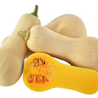 ALL_catalog_24F13_ktIwspPdXN