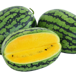 ALL_catalog_24F13_lDO1v7WIBm