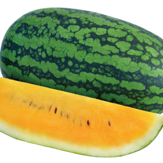 ALL_catalog_24F13_lqBHoSZxuy