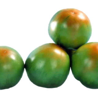 ALL_catalog_24F13_lxiVGOpFgo